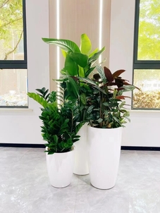 深度解析海曙绿化修剪设计，领略别样风情